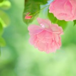 【パニック障害】美容院のシャンプー時はどうすれば落ち着ける？